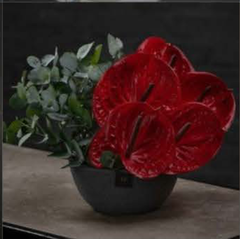 Modern Floral Arrangement Style 2 - $250